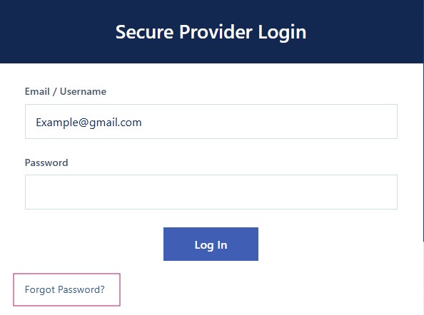 Forgot Password Button